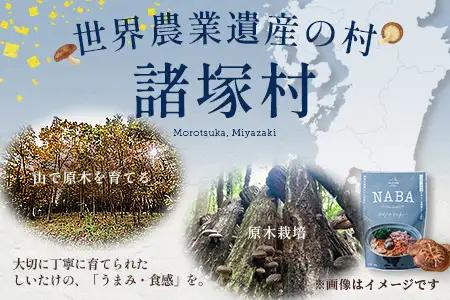 NABA バターチキンカレー 4食 セット 常温｜カレー レトルトカレー カレーライス なば しいたけ 椎茸 レトルト 簡単調理 常備 備蓄 おかず アレンジ 家庭用もろっこはうす 宮崎県 諸塚村 M