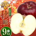 【ふるさと納税】*【2024年 令和6年度発送 先行予約】東印平林農園 訳あり 安曇野の秋映（あきばえ）約9kg ｜ リンゴ りんご 林檎 果物 フルーツ 果実 果汁 秋映 あきばえ 家庭用 わけあり 訳アリ 長野県 松川村