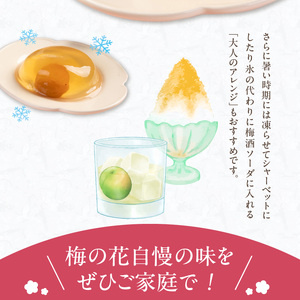 梅の花　梅ゼリー　12個入_梅ゼリー 95g × 12個 完熟 南高梅 まるごと 一粒 使用 優しい 甘さ 喉越し 爽やか とろける 食感 アレンジ シャーベット 梅酒ソーダ 梅 ゼリー おやつ デザ