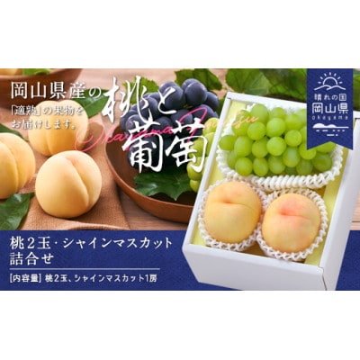 桃・シャインマスカット詰合せ(白桃晩生種2玉・シャインマスカット1房)合計約1.0kg【配送不可地域：離島】【1493197】