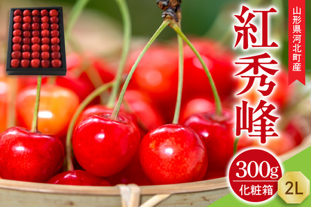 【令和8年産】さくらんぼ 紅秀峰 300g 2L玉 手詰め 特秀品 化粧箱入 山形県河北町産 【山形eLab】