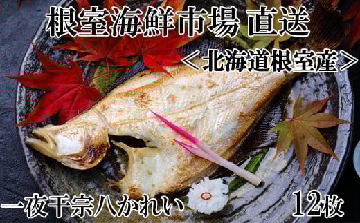 G-11006 【北海道根室産】一夜干し宗八かれい12枚