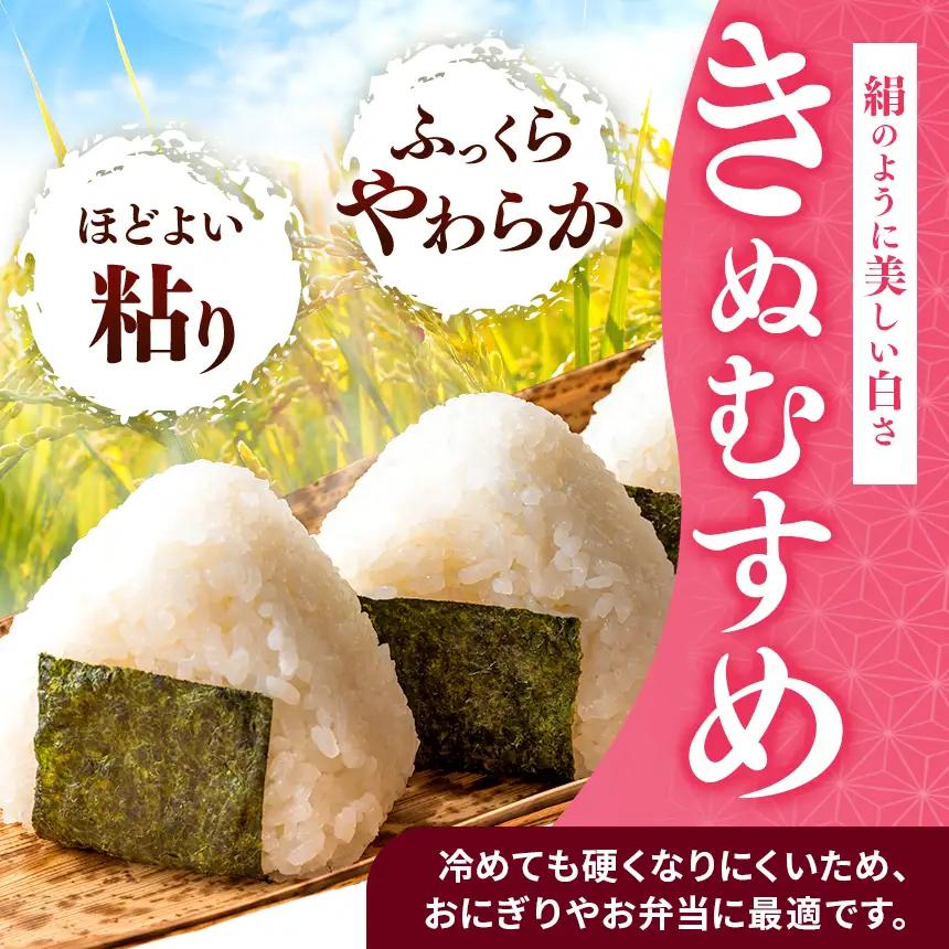【定期便6回】令和7年産 上郡町からのお米 きぬむすめ10kg×6回 | お米 きぬむすめ 美味しい 国産 兵庫県 上郡町