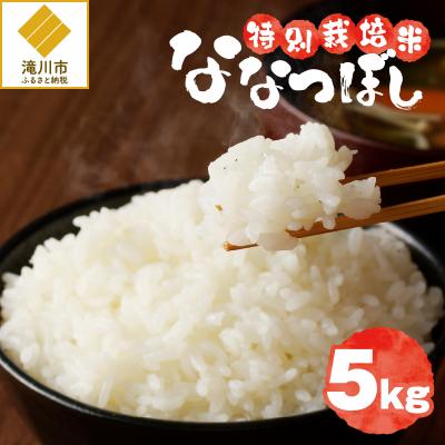 ふるさと納税 滝川市 《令和7年産》特別栽培米ななつぼし 5kg 特A 減農薬 白米 ブランド米 北海道滝川市