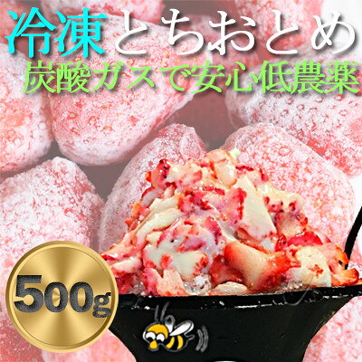 【ふるさと納税】BELL FARMの冷凍 いちご　500g/1kg/2kg【配送不可地域：離島】【G1230635】