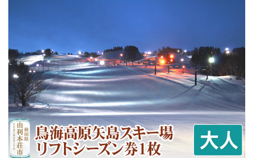 
鳥海高原矢島スキー場 リフトシーズン券 大人1枚
