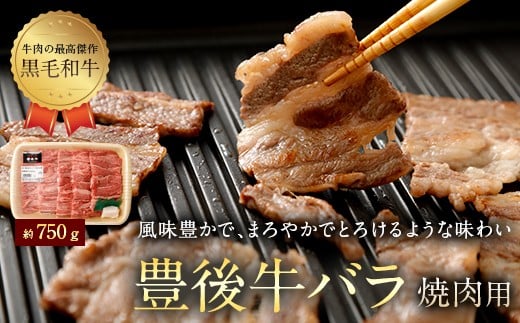 
074-379 豊後牛 バラ 焼肉用 約750g 牛肉 牛バラ
