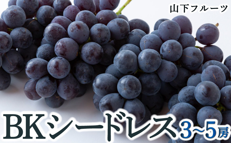 
            【先行予約】 山下フルーツ BKシードレス 3房から5房 【2025年8月中旬から9月中旬 出荷予定】 葡萄 ぶどう ブドウ 種無し 種なし 大粒 果物 くだもの フルーツ 果実 新品種 ミネラル農産物 お取り寄せ 福岡県 うきは市
          