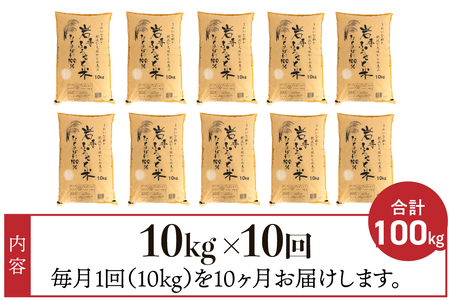 3人に1人がリピーター!☆全10回定期便☆ 岩手ふるさと米 10kg×10ヶ月 令和5年産 一等米ひとめぼれ 東北有数のお米の産地 岩手県奥州市産 [U0157]