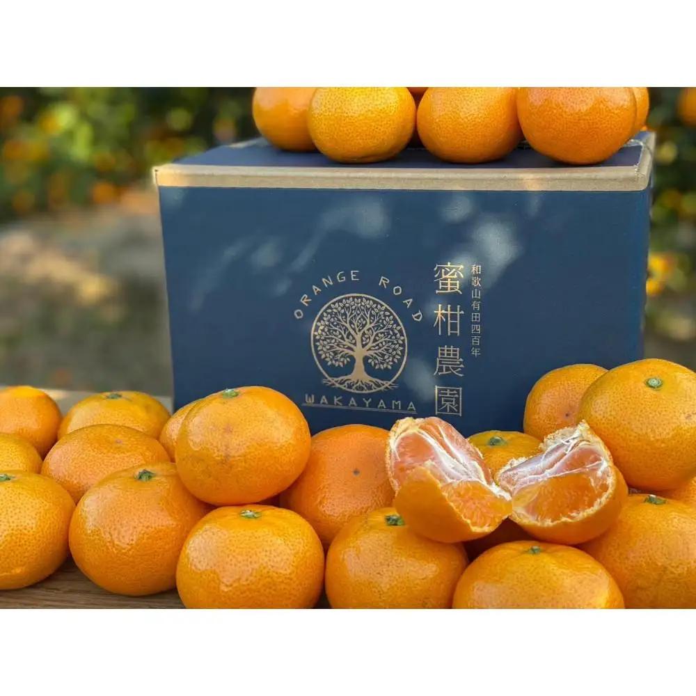 有田みかん 大粒 サイズ 2.5kg 厳選みかん