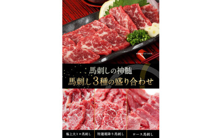 馬刺し3種の盛り合わせ【特選霜降り馬刺し100g/ロース馬刺し100g/赤身馬刺し100g×2】+タレ100ml付き《90日以内に出荷予定(土日祝除く)》