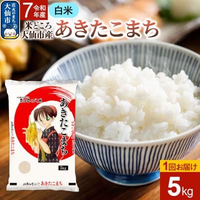 ふるさと納税 大仙市 米 あきたこまち【白米】令和7年産 5kg|22_aok-010501