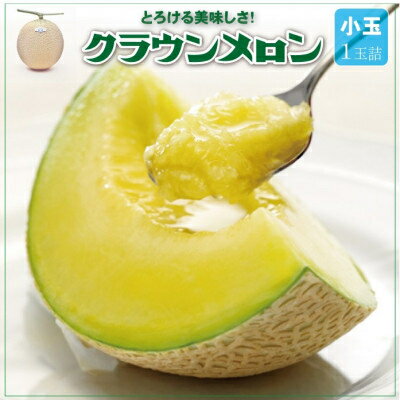 【ふるさと納税】【通年出荷】クラウンメロン(小玉) 1玉【配送不可地域：離島・北海道・沖縄県】【1486509】