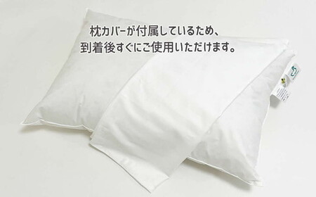 ザ・ホテルピロー 枕カバー付き 50×70cmリサイクルダウン50％ 抗ウィルス加工 ダウンピロー　羽毛 【251-000507-20】【2.6-3】