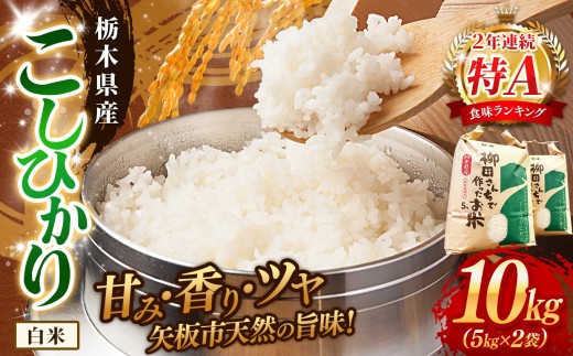 矢板市特別栽培米 こしひかり 白米 5kg×2P | お米 米 こめ 白米 玄米 にじのきらめき コシヒカリ こしひかり 美味しい お弁当 選べる エコ スマート 環境 手間暇 土づくり  ふるさと 納税 栃木県 矢板市