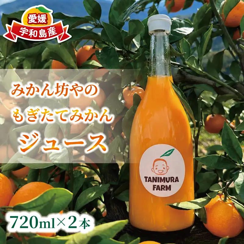 みかん 坊や の もぎたて みかん ジュース 谷村農園 720ml × 2本 セット ストレートジュース 温州みかん みかんジュース 蜜柑 mikan フルーツジュース 果汁 100% 飲料 柑橘 ギフト 贈答用 果物 くだもの フルーツ 国産 愛媛 宇和島 H011-201001