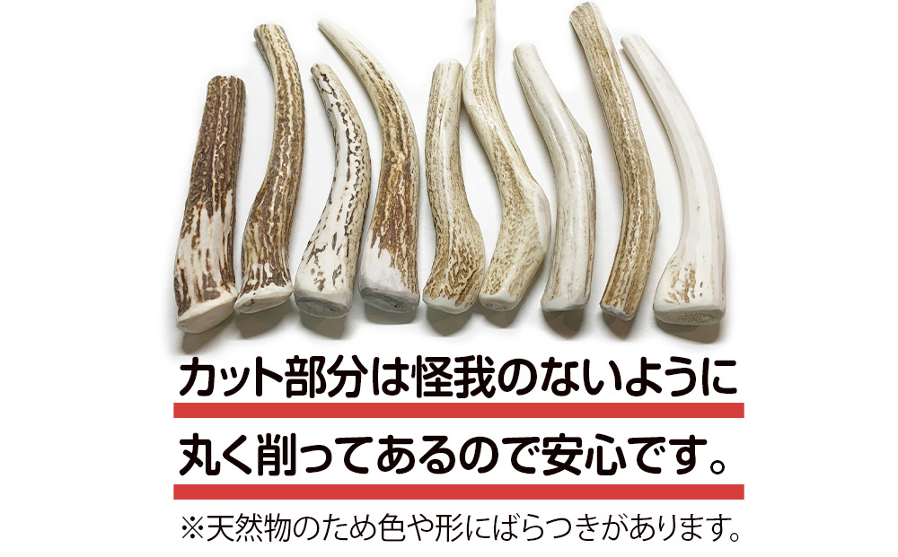 鹿の角 エゾシカ 犬のおもちゃ 『鹿角さん』 中型犬用 割っていないタイプ 1本 CB040_イメージ3