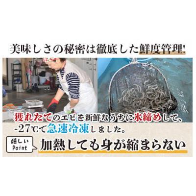 ふるさと納税 鹿島市 佐賀県産　芝エビむき身　500g |  | 03