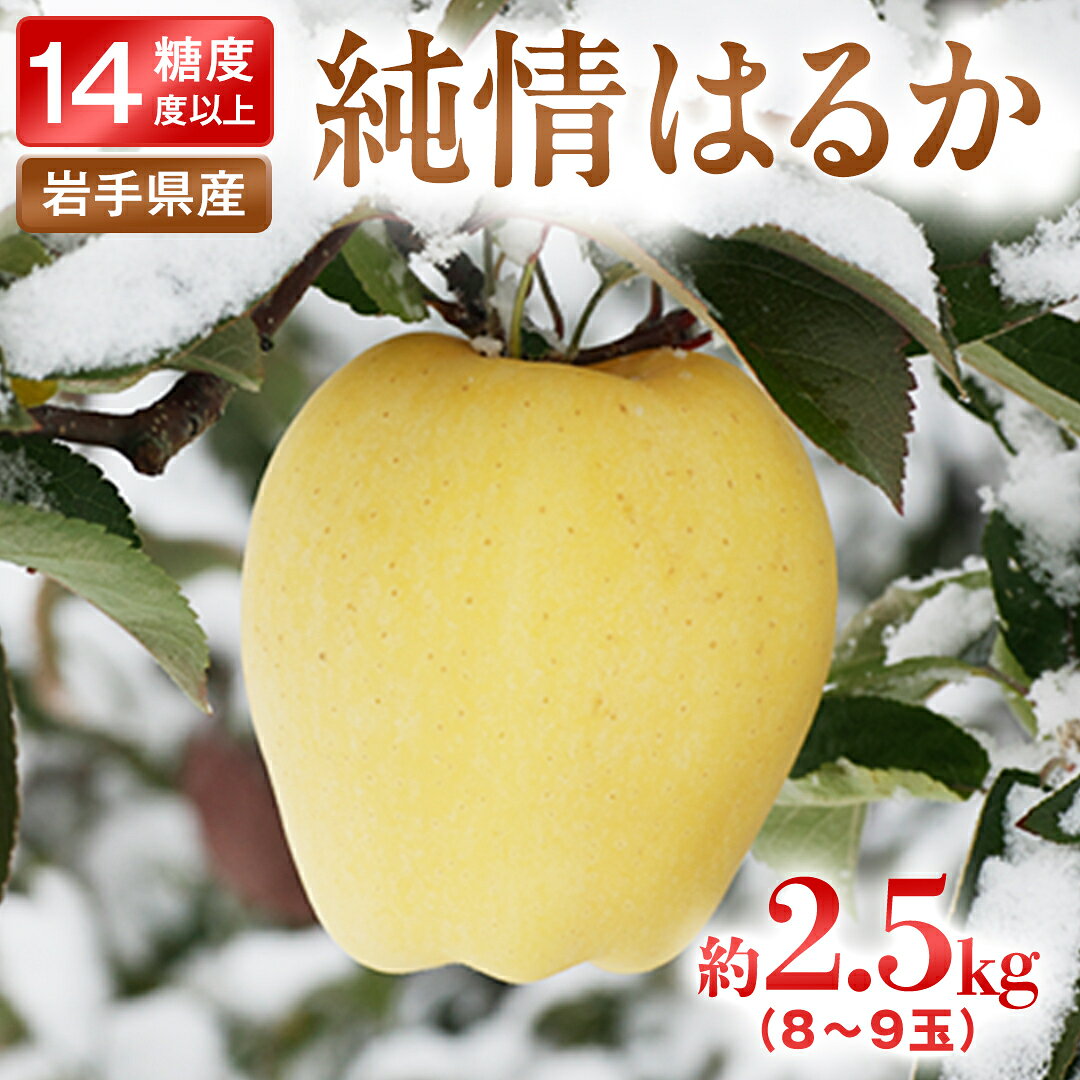 【ふるさと納税】りんご「純情はるか」糖度14度以上 約2.5kg【12月発送】自家用 家庭用 岩手県産 ブランド 樹上完熟 黄色いりんご リンゴ 林檎 はるか 果物 フルーツ【冬恋研究会】(AI24)