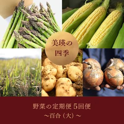 ふるさと納税 美瑛町 野菜の定期便【百合(大)】5回便【令和8年産先行受付!】 美瑛の四季