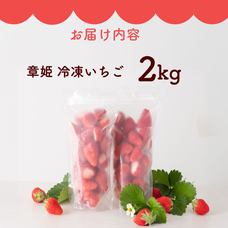 冷凍いちご 章姫 国産 冷凍 いちご 2kg フルーツ スイーツ デザート くだもの 果物 ストロベリー 甘い おいしい 大粒 濃厚 冷凍いちご かき氷 静岡県 牧之原市 藤田農園