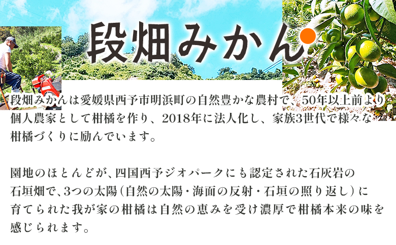 先行予約＜愛媛県産 極早生みかん 約5kg ご家庭用＞ 温州みかん 家庭用 訳あり 果物 ミカン 柑橘 フルーツ 選べる 食べて応援 特産品 段畑みかん 愛媛県 西予市【常温】『2026年9月中旬～10月中旬迄に順次出荷予定』