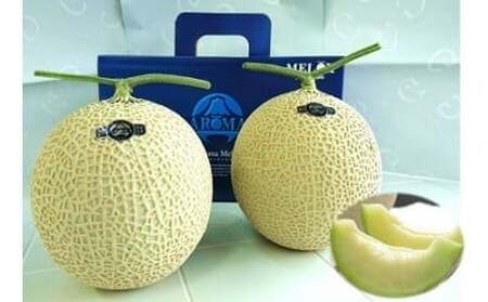 【通年出荷】 最高級温室 アローマメロン 山級2玉