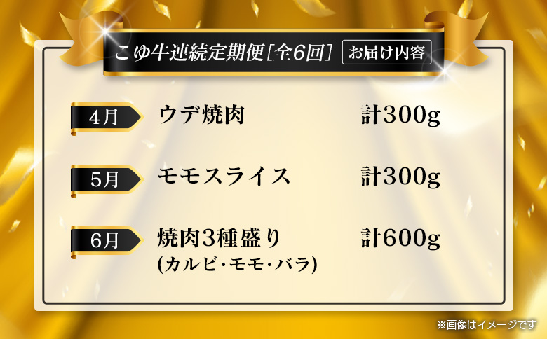 ＜年末年始限定!!＞厳選 黒毛和牛 お肉定期便 ［全6回］ 連続（1月～6月） 国産 牛肉 カルビ ステーキ ロース バラ モモ スライス 焼肉 しゃぶしゃぶ すき焼き 宮崎【E255】