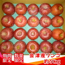 【ふるさと納税】サンふじ 5kg (季節の果物)｜2024年 りんご リンゴ フルーツ 果物 産直 会津産 数量限定 [0402]