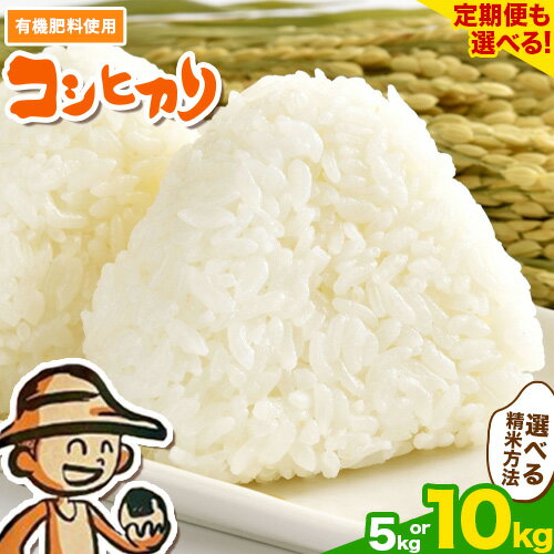 【ふるさと納税】コシヒカリ 米 選べる 5kg 10kg 有機肥料 白米 5分搗き 7分搗き 単発 定期便 こしひかり 2ヶ月 3ヶ月 コメ 精米 流山市 ご飯 白飯 ゴハン 山崎清八商店 千葉県産 弁当 おすそ分け 産地直送 送料無料