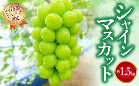 【ふるさと納税】【さぬき讃フルーツ認定】 締め切り間近 シャインマスカット 約1.5kg シャインマスカット 大粒 贈答用 ギフト お取り寄せ 国産 旬 新鮮 産地直送 高級 ぶどう 葡萄 ブドウ 皮ごと 種なし たねなし 詰め合わせ 詰合せ 詰合わせ  秋 旬