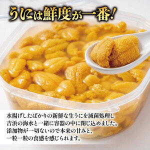 生うに 400g 無添加 冷蔵 ミョウバン不使用 ミョウバン不使用 期間限定 うに ウニ 雲丹 寿司 Sea urchin 新鮮 直送 産地直送 生食 生 ごはん 夕飯 おかず おつまみ 晩酌 米 丼