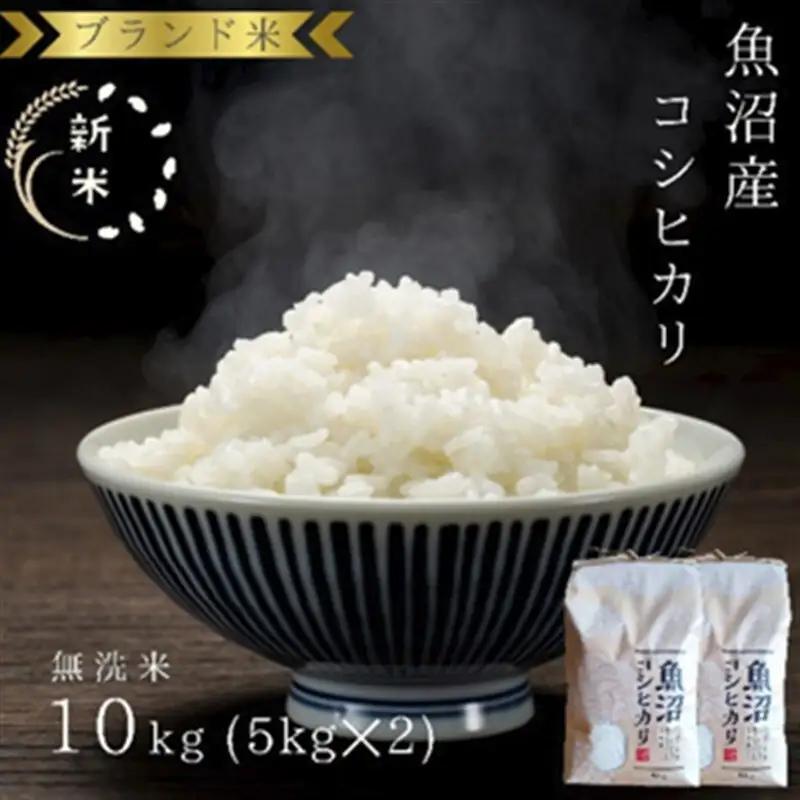 令和8年産 ブランド米 魚沼産コシヒカリ 無洗米 10kg（5kg×2袋） お米 