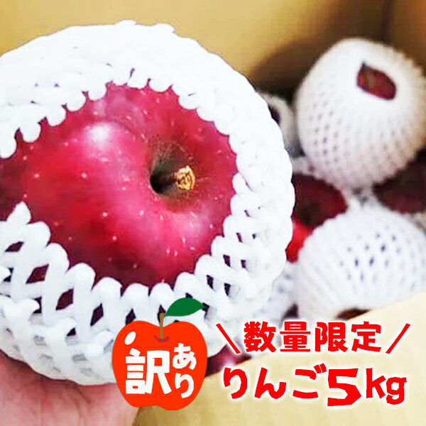 【ふるさと納税】 訳あり りんご 5kg 旬 リンゴ サンふじ ふじ シナノゴールド 王林 【数量限定】