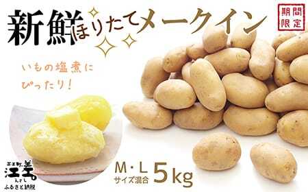 《8月頃～順次出荷予定》新鮮！ほりたて！「江差産メークイン5kg M・L混合」しっとりほくほく　甘い　北海道のメークイン　北海道産じゃがいも　じゃがバター　肉じゃが　カレー　シチュー　いもの塩煮