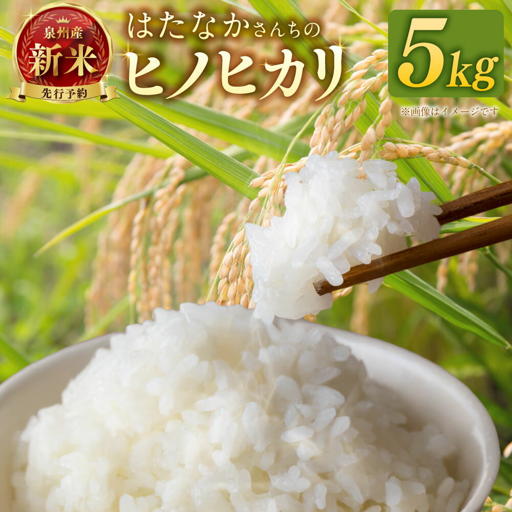 【ふるさと納税】〈令和7年産〉【はたなかさんち】泉州産ヒノヒカリ 5kg×1袋 お米 米 こめ ひのひかり 白米 精米 単一原料米 ごはん ご飯 ふるさと納税米 令和7年産米 国産 大阪府 阪南市 送料無料 【2025年11月上旬～12月下旬発送予定】