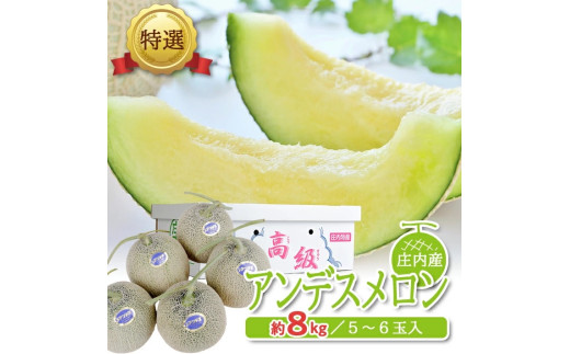 特選 庄内産 アンデスメロン　約8kg(青肉/5～6玉入つる付)  SC0678