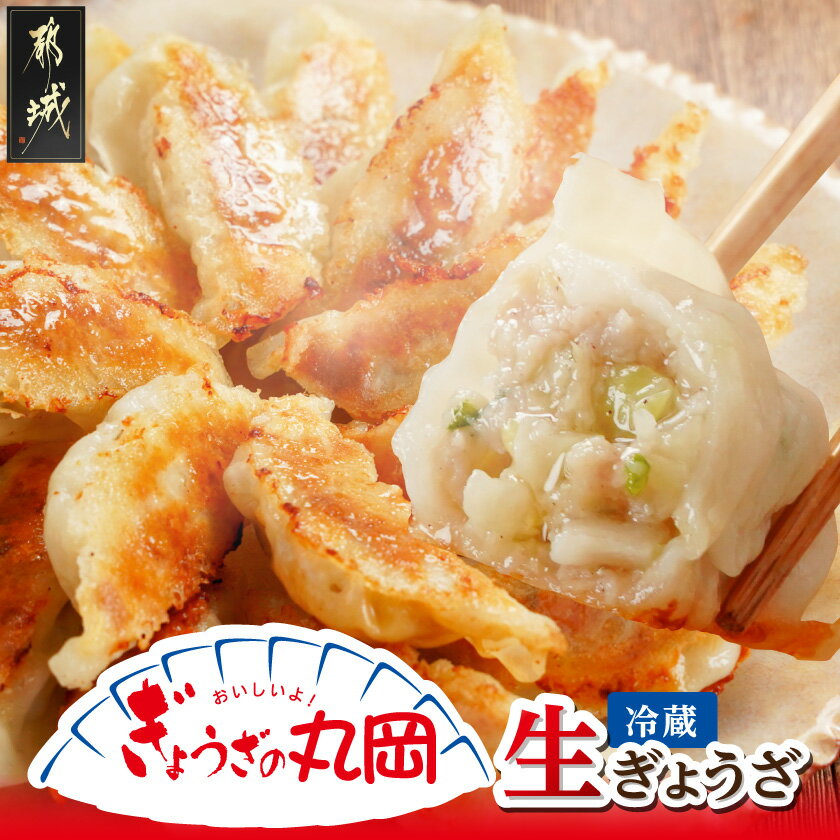 【ふるさと納税】【ぎょうざの丸岡】生ぎょうざ50個たれ付き - 餃子 国産豚肉 国産野菜 キャベツ ニンニク ネギ 焼き餃子 水餃子 揚げ餃子 ご当地グルメ 宮崎県 都城市 故郷の味 冷蔵配送 金曜日お届け 送料無料 AA-O101 【宮崎県都城市は2年連続ふるさと納税日本一！】