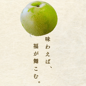 【 先行予約 】 二十世紀梨 約3kg （7玉）  福賀産 （ 山口県 阿武町 ）  高糖度＆シャキシャキ食感 昼夜の寒暖差が育む旬の味 梨 フルーツ 果物 デザート 【お届け：2025年8月下旬～9