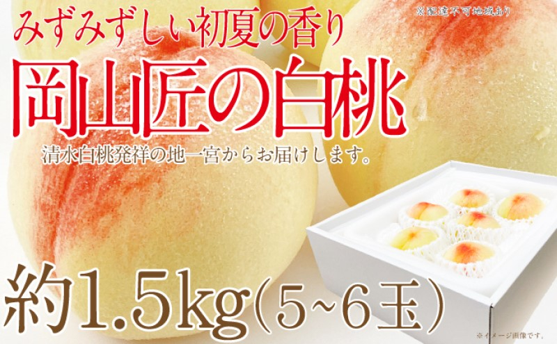 
                  もも 2026年 先行予約 岡山匠の白桃 約1.5kg 5～6玉 犬塚農園 岡山県産 白桃 桃 モモ ギフト 初夏 みずみずしい
                