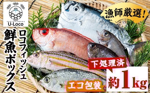 P78001 漁師厳選！ロコフィッシュ(地魚) 下処理済 鮮魚 ボックス(約1kg)【エコ包装】 地魚 魚 お魚 冷蔵 生もの 加工品 未利用魚 低利用魚 焼き魚 焼魚 刺し身 刺身 煮魚 届くまでのお楽しみ 鮮魚セット 鮮魚ボックス 鮮魚BOX【昌徳丸】