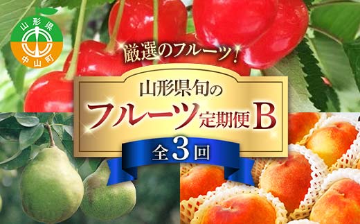 令和8年6月発送開始 山形県 厳選のフルーツ！ 山形県旬のフルーツ定期便Ｂ全3回 佐藤錦 白桃 ラフランス 期間限定 数量限定 山形県産 サクランボ 桃 梨 フルーツ 果物 くだもの 贈答 F4A-0