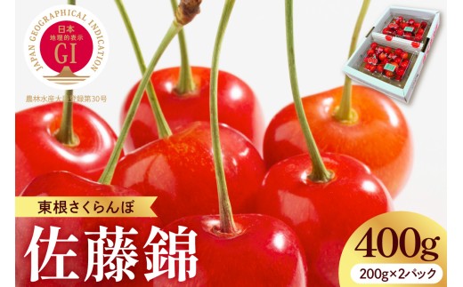 【2027年産】 GI 東根さくらんぼ 「佐藤錦」秀品 400gバラ詰め (200g×2パック) Lサイズ以上 山形県 東根市 安達農園提供 hi037-015-r9 フルーツ 果物 くだもの クダモノ さくらんぼ サクランボ 佐藤錦 期間限定 先行受付 冷蔵配送