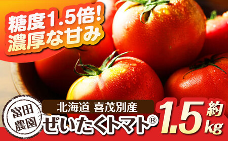 【2025年分予約開始！】こだわり農家の喜茂別産ぜいたくトマト 約1.5kg 《喜茂別町》【富田農園/スプレス】 トマト とまと 先行予約 夏野菜 季節の野菜 冷蔵 冷蔵配送 産地直送 北海道 [AJAJ004] 16000 16000円
