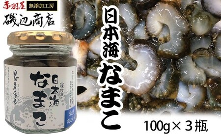 なまこ 味付き 珍味 日本海 なまこ【3本】
