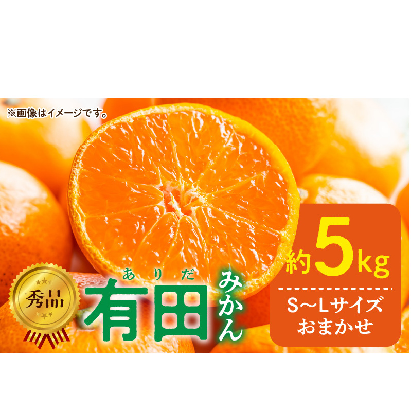 【2027年1月発送】秀品 有田みかん 和歌山県産 S～Lサイズ 大きさお任せ 約5kg_DZ6013n_01