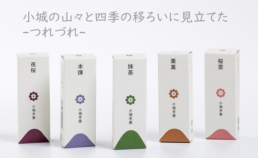 八頭司伝吉 味の散策 小城羊羹 つれづれ（贈答用 20本詰）ようかん 和菓子 贈り物