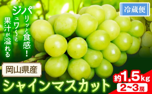 シャインマスカット 1.5kg(2-3房)【配送不可地域あり】 花田青果株式会社《9月上旬-10月末頃出荷》マスカット 送料無料 岡山県 浅口市 シャインマスカット ぶどう フルーツ 果物 贈り物 ギフト