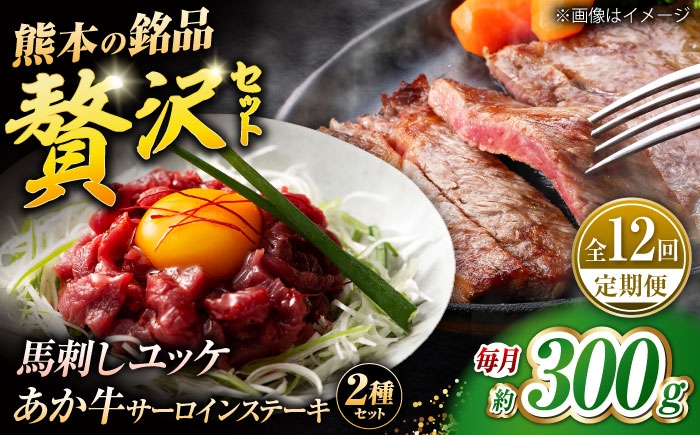 
            【全12回定期便】くまもとあか牛サーロインステーキと国産馬刺しユッケ贅沢セット 計約300g【有限会社 スイートサプライなかぞの】 [ZBV096]
          