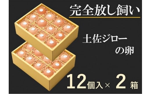 ましくんの完全放し飼い土佐ジローの卵 (12個入り×2箱)もみ殻梱包 ブランド卵 タマゴ たまご 卵 生卵 鶏卵 国産 地鶏 はなし飼い ご飯 おいしい 美味しい 濃厚 朝食 ランチ【R00444】